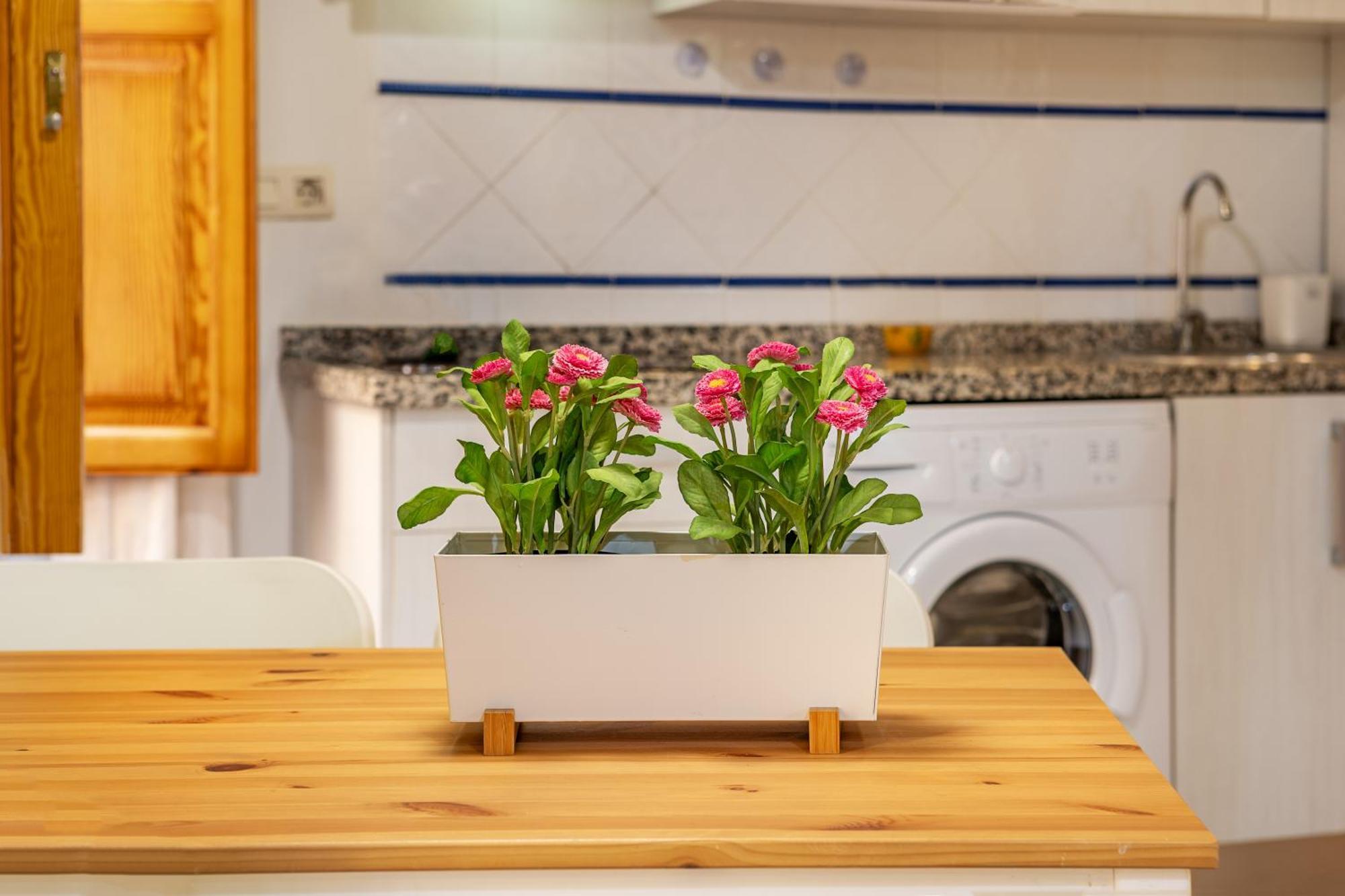 Luxury San Matias Apartment Granada